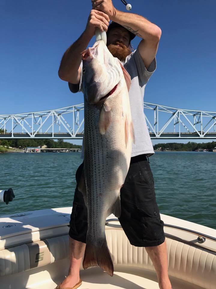 Smith Lake, Alabama - Fishing 24-7 Guide Service